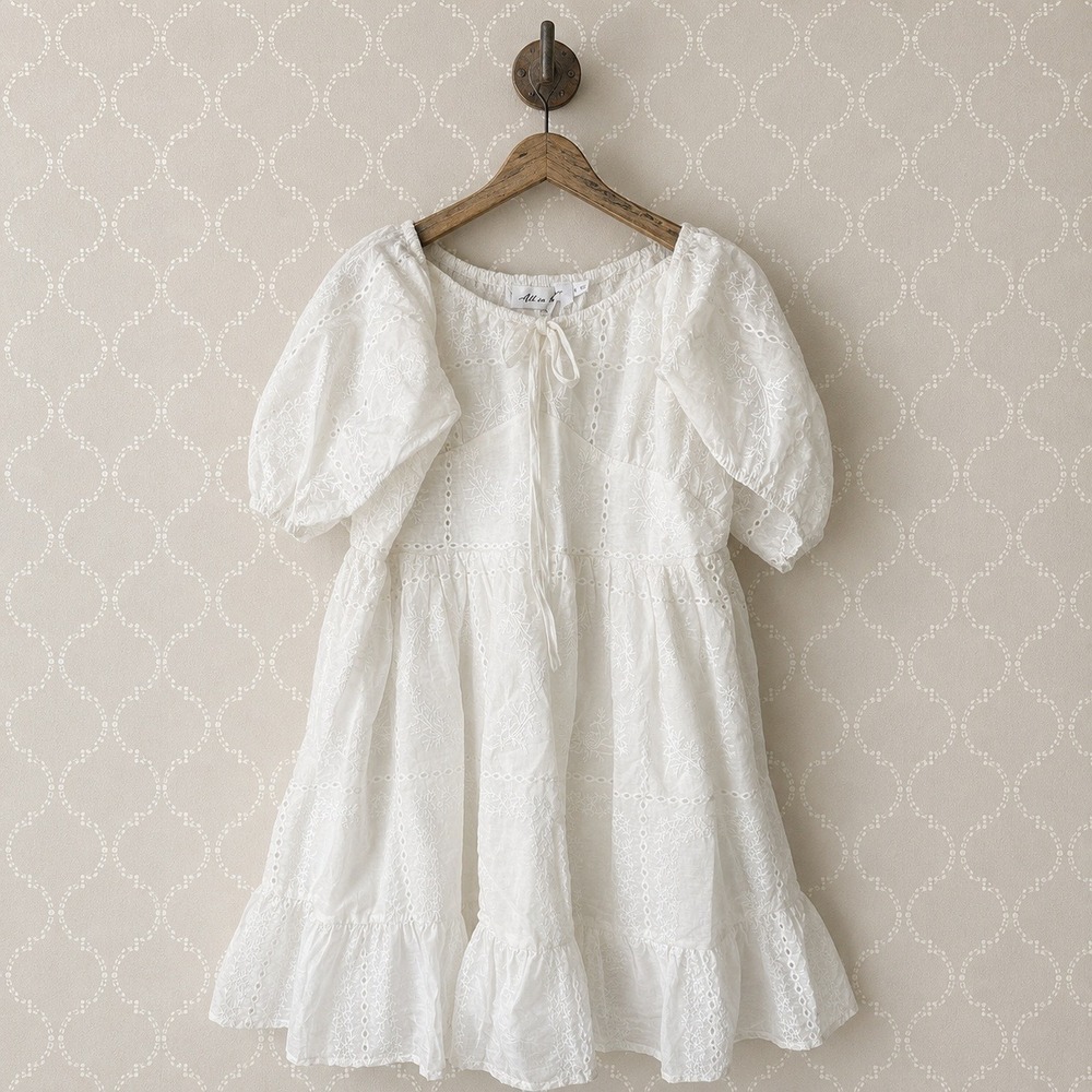 All in Favor Mini Dress Eyelet Embroidered White Large